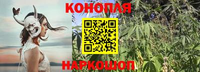 mdpv Можайск