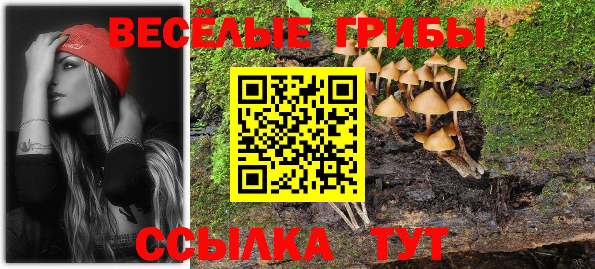 Галлюциногенные грибы Magic Shrooms  купить наркотик  Севастополь  Вход с VPN 